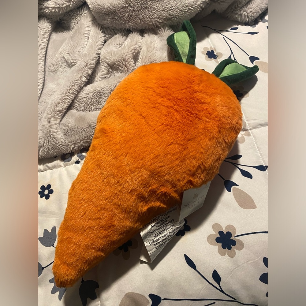 Target Carrot Pillow
